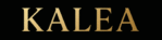 a logo in gold on a solid black background display.png